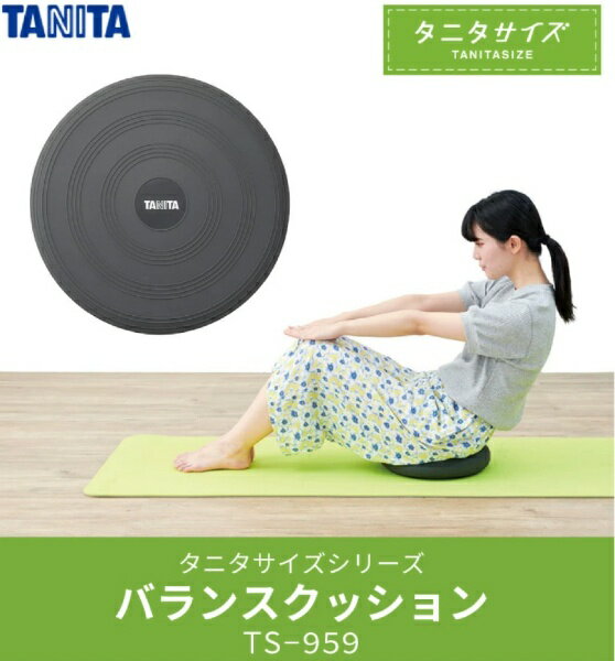 タニタ タニタサイズ バランスクッション TS-959 グレー