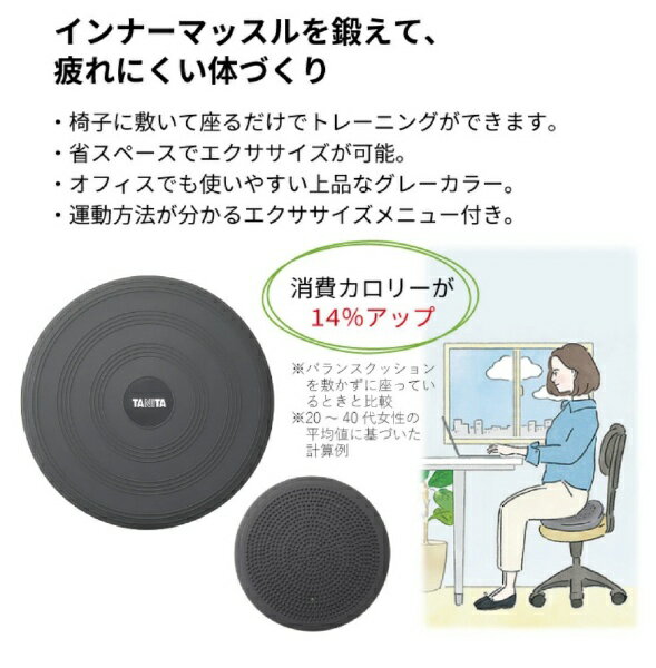 タニタ タニタサイズ バランスクッション TS-959 グレー