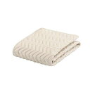 FRANCEBED|フランスベッド 【ベッドパッド】グッドスリーププラス バイオパッド(M+M/245×195cm/キナリ) フランスベッド(3)