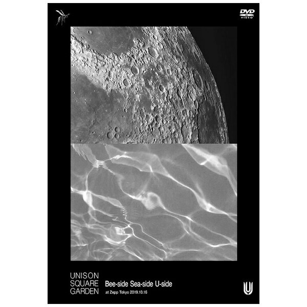 バップ｜VAP UNISON SQUARE GARDEN/ Bee-side Sea-side U-side」at Zepp Tokyo 2019．10．16【DVD】 【..