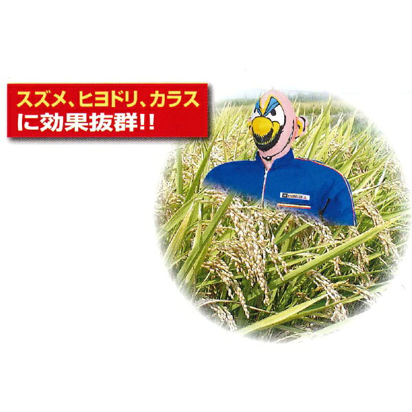 高芝ギムネ製作所｜TAKASHIBA GIMUNE 龍宝丸 かかしBoy K-001
