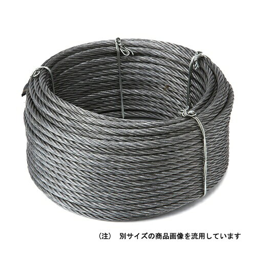 自由な長さに使用出来るカット用ワイヤーです。特殊メッキ仕様（G/O）で荷物や手などを汚しません。20M巻きでユーザーの用途に合った長さで使用できます。仕様●サイズ： 3mm×20m