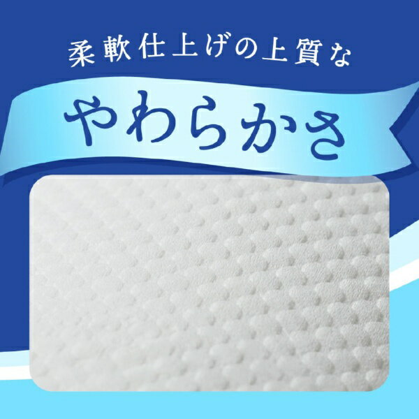 大王製紙｜Daio Paper elleair(エリエール) トイレットティシュー DSI823245