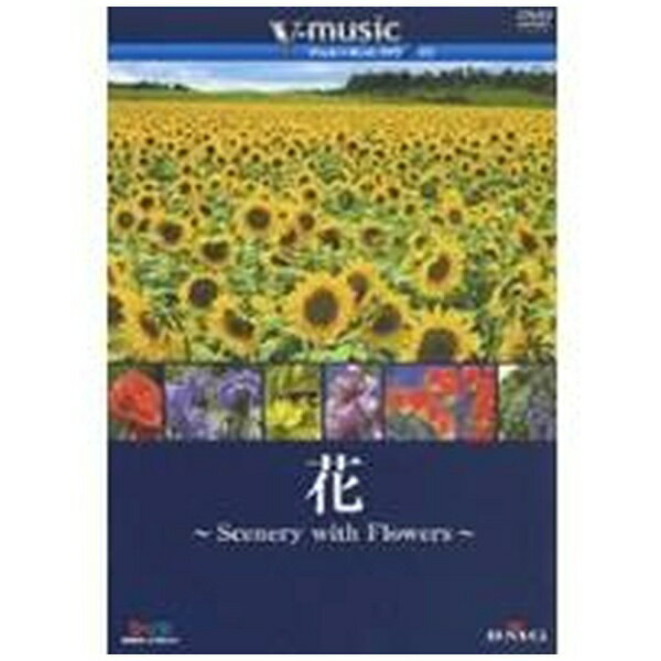 ソニーミュージックマーケティング｜Sony Music Marketing V-music 花〜Scenery with Flowers〜【DVD】 【代金引換配送不可】