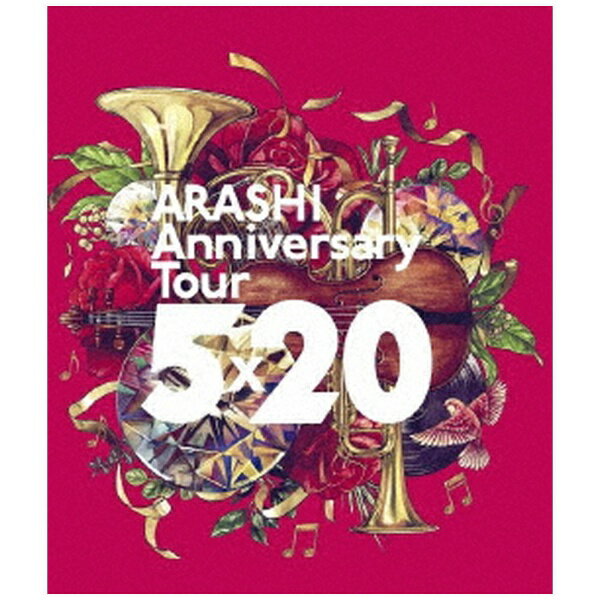 ソニーミュージックマーケティング｜Sony Music Marketing 嵐/ ARASHI Anniversary Tour 5×20 通常盤【ブルーレイ】 【代金引換配送不可】