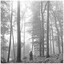 ユニバーサルミュージック|UNIVERSAL MUSIC テイラー・スウィフト/ フォークロア【CD】 【代金引換配送不可】