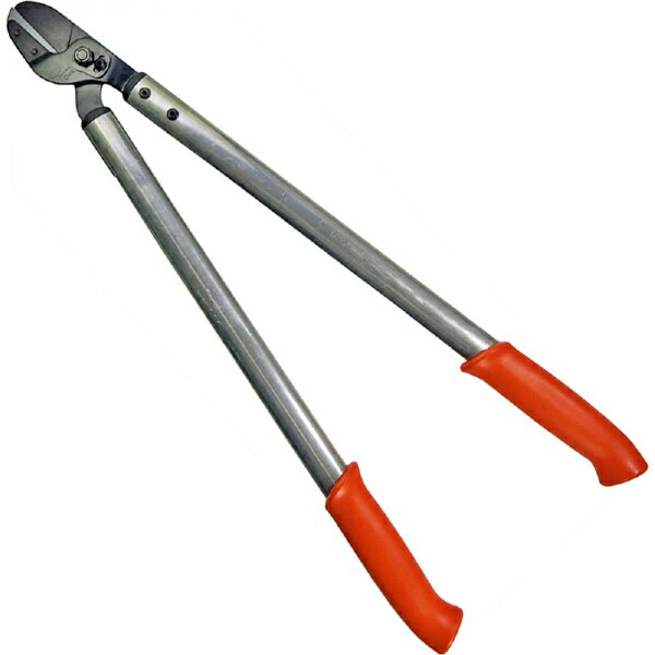 �¸�������WAKO TRADE LOWE �饤���� ������ 65cm LOWE E20065