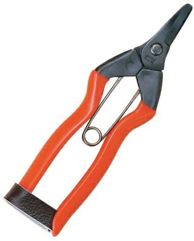 ■切れ味を追求した果樹用はさみ。■曲刃で果実や枝を傷つけにくいハサミです。■柿の実を傷付けない様、刃が曲がっているので、柿の収穫、芯（軸）切りに向いているハサミです。■切断能力： 1年目の若枝…約5mm。