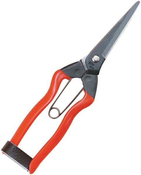 小林製鋏｜Kobayashi Seikyo 越路 青果鋏 越路 J-12