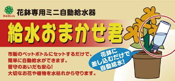 �ޥ�ϥ����ȡ�Maruhachi ����� ��太�ޤ����� 2P ����� #3230