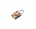 マスターロック|Master Lock 1509EURDCAMO ナンバー可変式プリントパターン南京錠 00850127-001