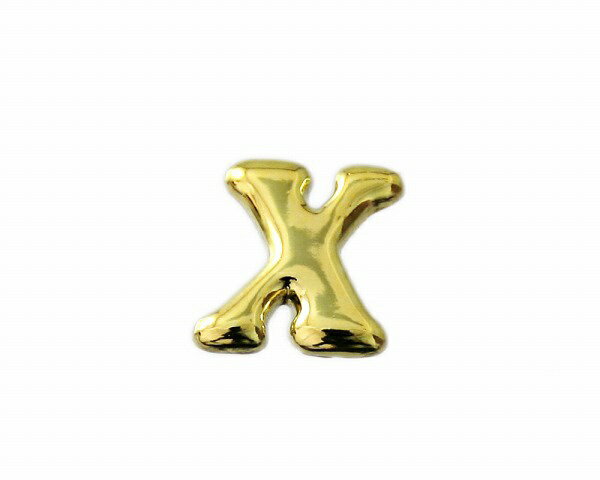 光｜HIKARI ABG15-X ゴールド文字 小 英X 00871134-001(3)