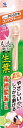小林製薬｜Kobayashi 生葉もふもふ磨けるブラシコンパクト 1本