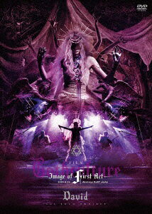 ビデオメーカー David/ FILM “Gothculture” -Image of First Act- 完全限定盤【DVD】 【代金引換配送不可】