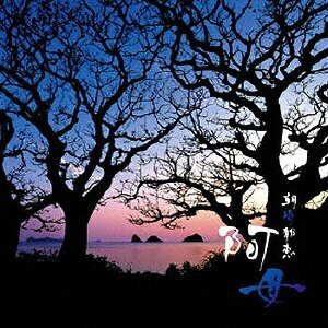 バウンディ 朝崎郁恵/ 阿母【CD】 【代金引換配送不可】のサムネイル