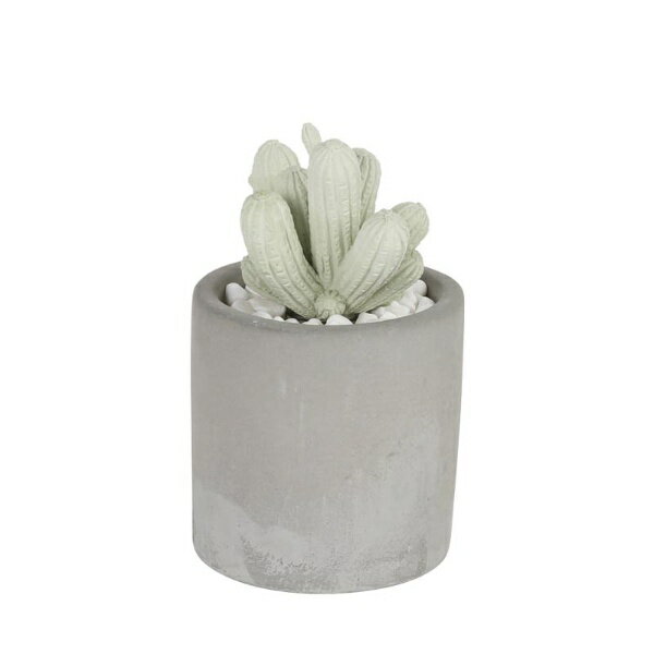 楽天楽天ビック（ビックカメラ×楽天）DULTON｜ダルトン CACTUS FRAGRANCE DIFFUSER SPRING FLOWER カクタス フレグランス ディフューザー G875-959-SF