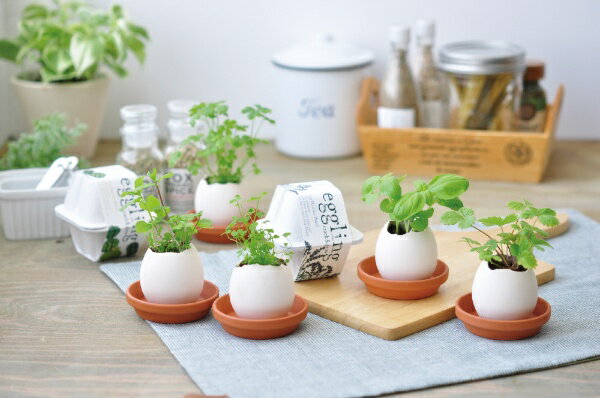 ����ƫ�ݡ�SEISHIN EG-4804 ���å���� ���� ��������