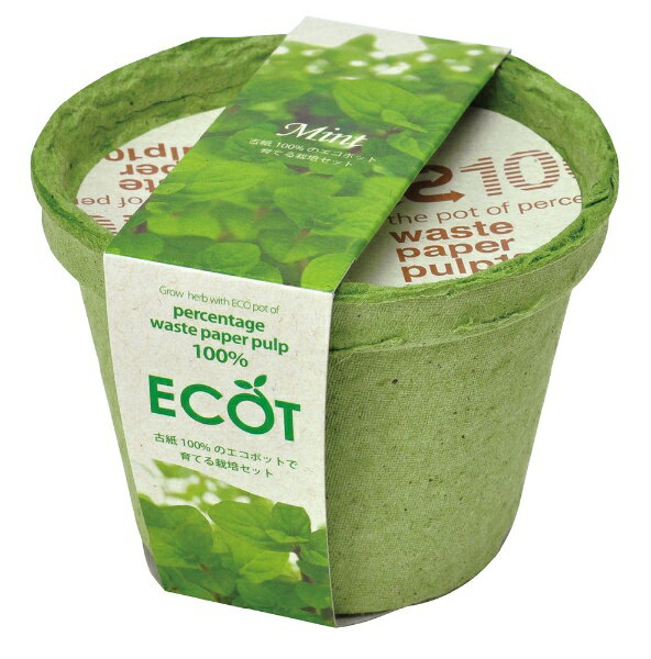 聖新陶芸｜SEISHIN GD-41001 エコット S ミント