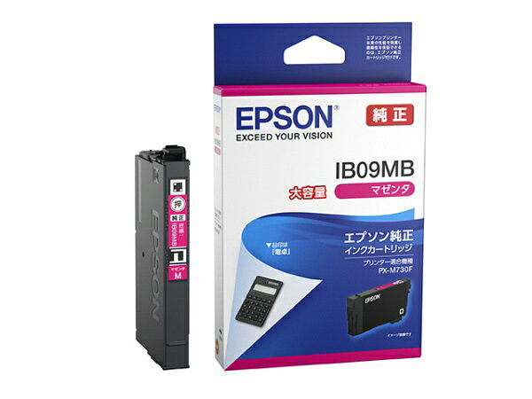 EPSON�b�G�v�\�� IB09MB �����v�����^�[�C���N �d��(��e��) �}�[���^