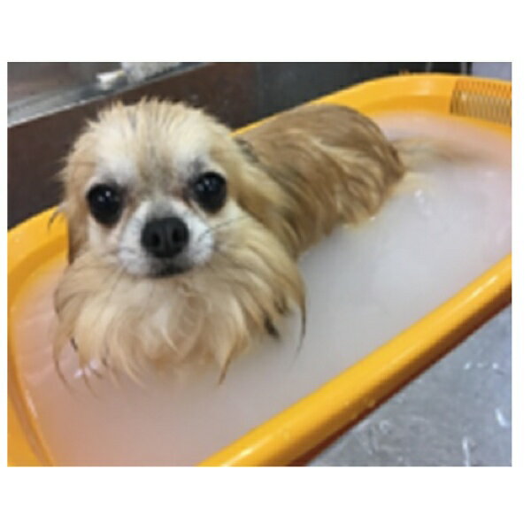 ���������ڥåȡ�earth pet ������ú������� �̤����Х�ι� 300g