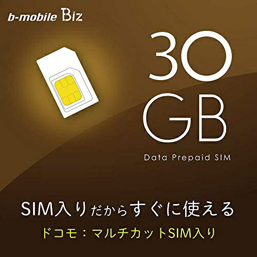 楽天ビック(ビックカメラ×楽天)の日本通信｜Japan Communications マルチカットSIM ドコモ回線「BMGTPLBC12MCb-mobile Biz SIMパッケージ （DC/マルチ）」 BM-GTPLBC-12MC [マルチSIM /SMS非対応]｜アングル2