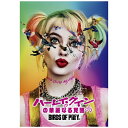 NBCユニバーサル｜NBC Universal Entertainment ハーレイ クインの華麗なる覚醒 BIRDS OF PREY【DVD】 【代金引換配送不可】