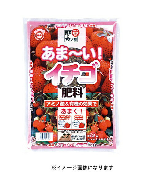 東商｜tosho 東商 あま～いイチゴ肥料 500g
