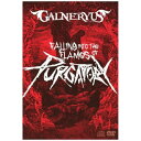 ソニーミュージックマーケティング｜Sony Music Marketing GALNERYUS/ FALLING INTO THE FLAMES OF PURGATORY 完全生産限定版 TシャツサイズM【DVD】 【代金引換配送不可】