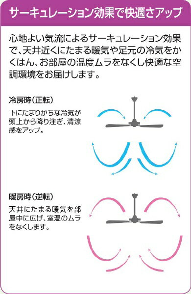 �ڥ���ȥ꡼�Ǻ������ۥݥ���ȴԸ���3/11�ޤǡ� ����ŵ���DAIKO DC�⡼����������󥰥ե��� ASN-016 [��⥳���դ�]��newlife_campaign_g��