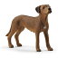 シュライヒジャパン|Schleich シュライヒ 13895 ローデシアン・リッジバック 772円