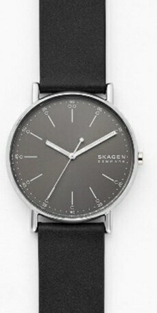 SKAGEN｜スカーゲン SKAGEN SKW6654