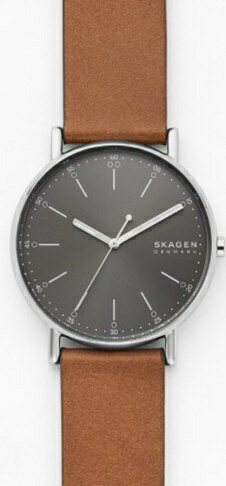 SKAGEN|スカーゲン SKAGEN SIGNATUR SKW6578 SKAGEN|スカーゲン SKAGEN SIGNATUR SKW6578