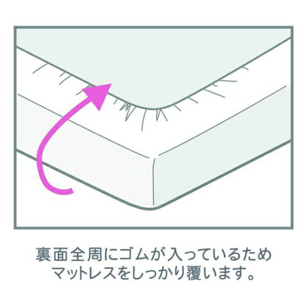 ������OGURI �٥åɥ����ĻԾ����󥰥� �١�����