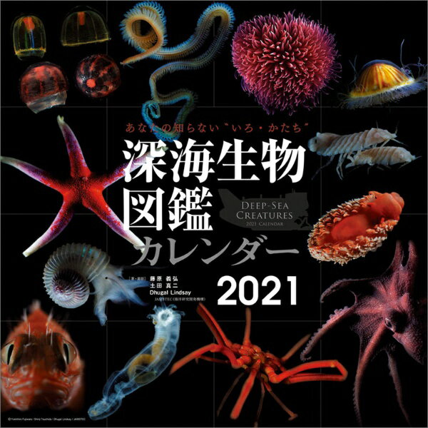 トライエックス｜TRY-X 2021年カレンダー深海生物図鑑 CL-403