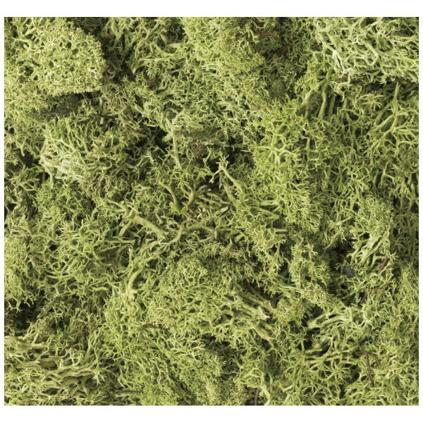 KATO｜カトー 【Nゲージ】24-332 天然素材プランツ ライトグリーン