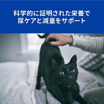 日本ヒルズコルゲート Hill’s-Colgate Japan Ltd ヒルズ 猫 c/dマルチケアコンフォート+メタボリックス 4kg