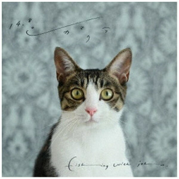 叙情派ポスト・ロック・ソロ・ユニット、fishing with johnが11年ぶりに新譜をリリース！