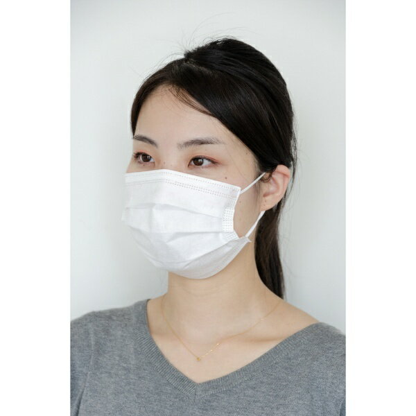 トラスコ中山｜TRUSCO NAKAYAMA TRUSCO　ホワイトマスク　3層タイプ（50枚入） DPM-WM
