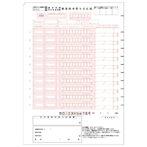 健保賞与支払届