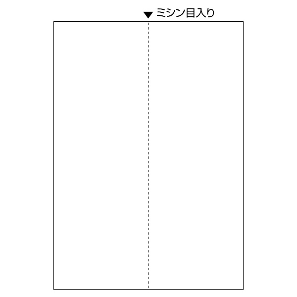 ヒサゴ｜HISAGO 〔各種プリンタ〕FSC（R）認証 マルチプリンタ帳票 白紙 タテ 0.08mm [A4 /100枚 /2面]..