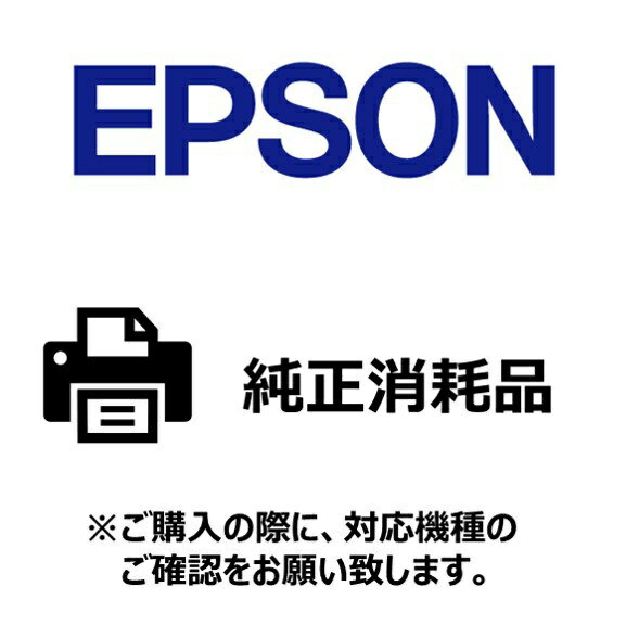 EPSONåץ ̥٥ץ󥿡ѻͥåȥ٥ ٥2 [530(72x51mm) /1] DG2K07...