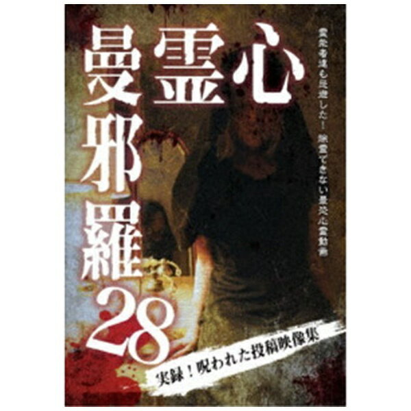 ビデオメーカー 心霊曼邪羅28【DVD】 【代金引換配送不可】