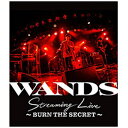 ビーイング｜Being WANDS/ WANDS Streaming Live 〜BURN THE SECRET〜【ブルーレイ】 【代金引換配送不可】