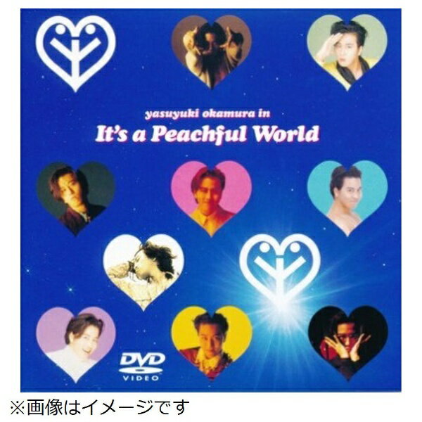 ソニーミュージックマーケティング｜Sony Music Marketing 岡村靖幸/ It’s a Peachful World【DVD】 【代金引換配送不可】