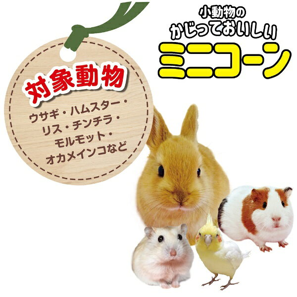 ドギーマン｜DoggyMan 小動物のかじっておいしい ミニコーン 120g