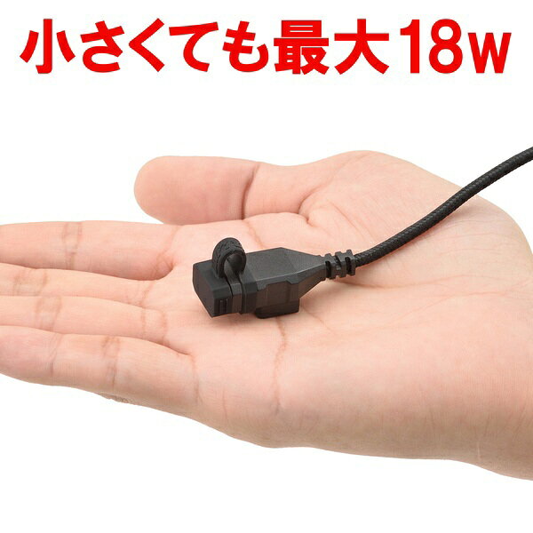 �ǥ��ȥʡ�DAYTONA USB�Ÿ� USB-C PD3.0�б� 18W iPhone/Android�б� 17213