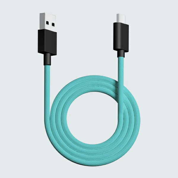 Pwnage｜ポウネイジ ウルトラカスタム ワイヤレス用 USB-C ⇔ USB-Aケーブル  ミント pw-usb-type-c-paracord-cable-mint