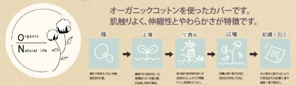 �����ҥ���IKEHIKO �������˥å����åȥ������ĥ��С������󥰥륵����(105��215)���ͥ��ӡ����ݡ��� �ͥ��ӡ� 1588039 [���󥰥륵����]