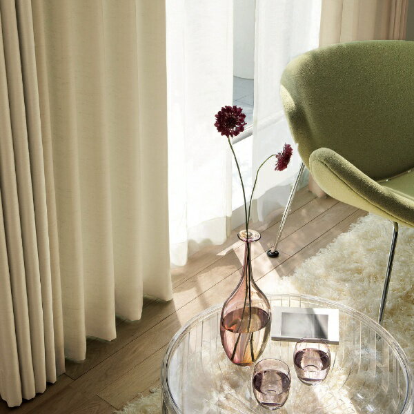 スミノエ｜SUMINOE ドレープカーテン プライム2（100×178cm/ブラック）