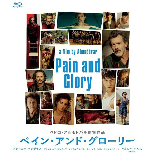 キングレコード｜KING RECORDS ペイン・アンド・グローリー【ブルーレイ】 【代金引換配送不可】